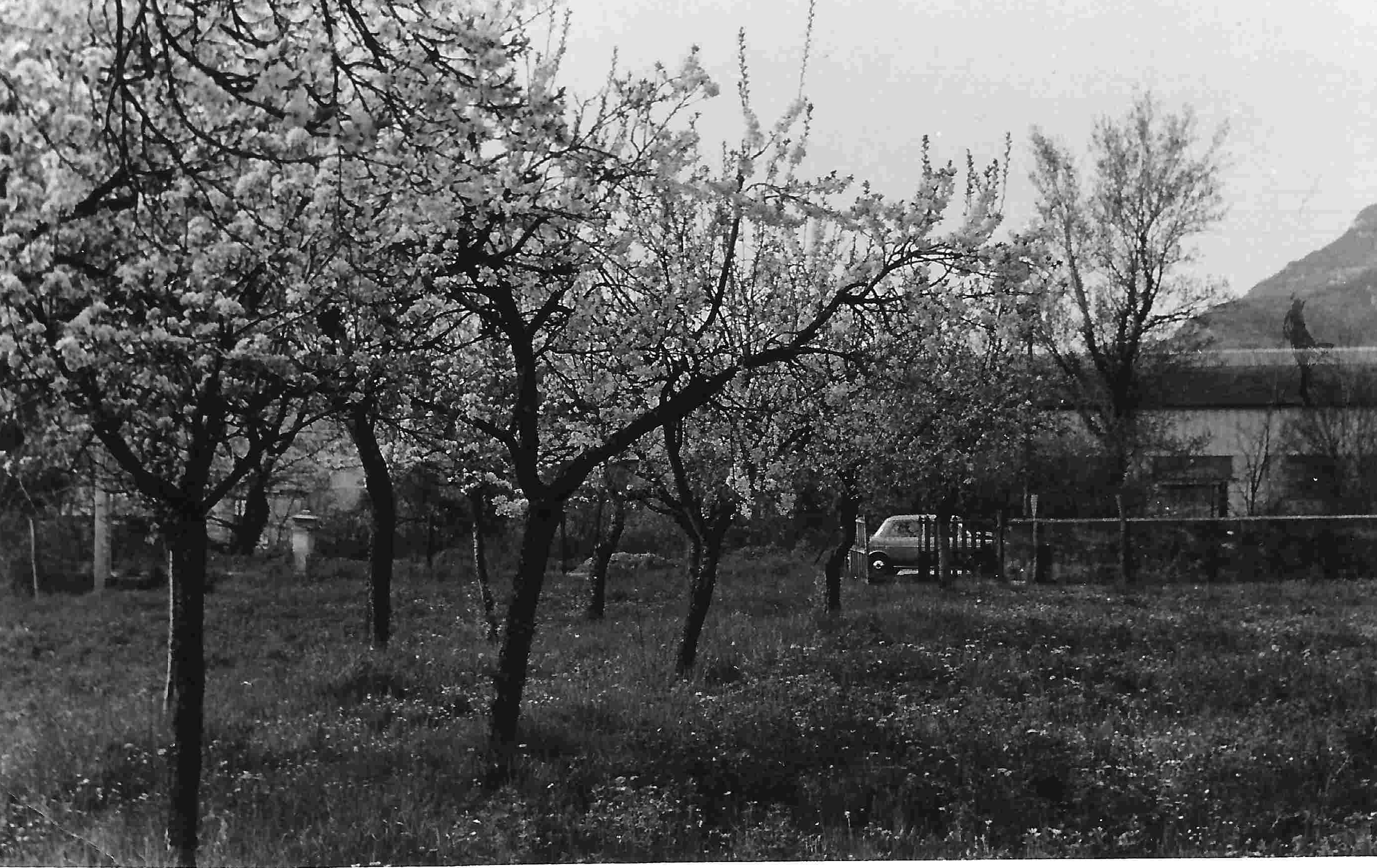 Le jardin de la Trousse