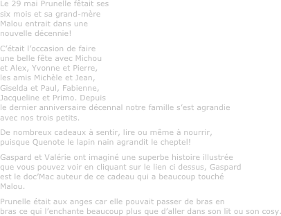 Le 29 mai Prunelle fêtait ses six mois et sa grand-mère Malou entrait dans une nouvelle décennie!
C’était l’occasion de faire une belle fête avec Michou et Alex, Yvonne et Pierre, les amis Michèle et Jean, Giselda et Paul, Fabienne, Jacqueline et Primo. Depuis le dernier anniversaire décennal notre famille s’est agrandie avec nos trois petits.
De nombreux cadeaux à sentir, lire ou même à nourrir, puisque Quenote le lapin nain agrandit le cheptel!
Gaspard et Valérie ont imaginé une superbe histoire illustrée que vous pouvez voir en cliquant sur le lien ci dessus, Gaspard est le doc’Mac auteur de ce cadeau qui a beaucoup touché Malou.
Prunelle était aux anges car elle pouvait passer de bras en bras ce qui l’enchante beaucoup plus que d’aller dans son lit ou son cosy.